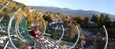 Alpine Coaster